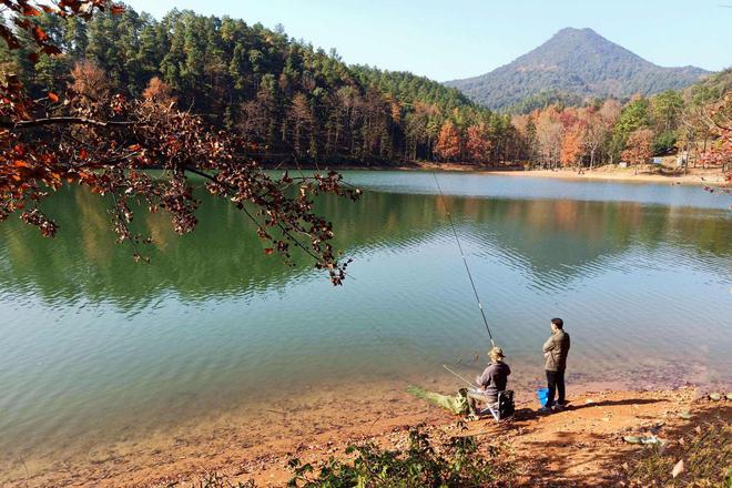 深秋草魚怎么釣_深秋野釣草魚_深秋如何釣草魚