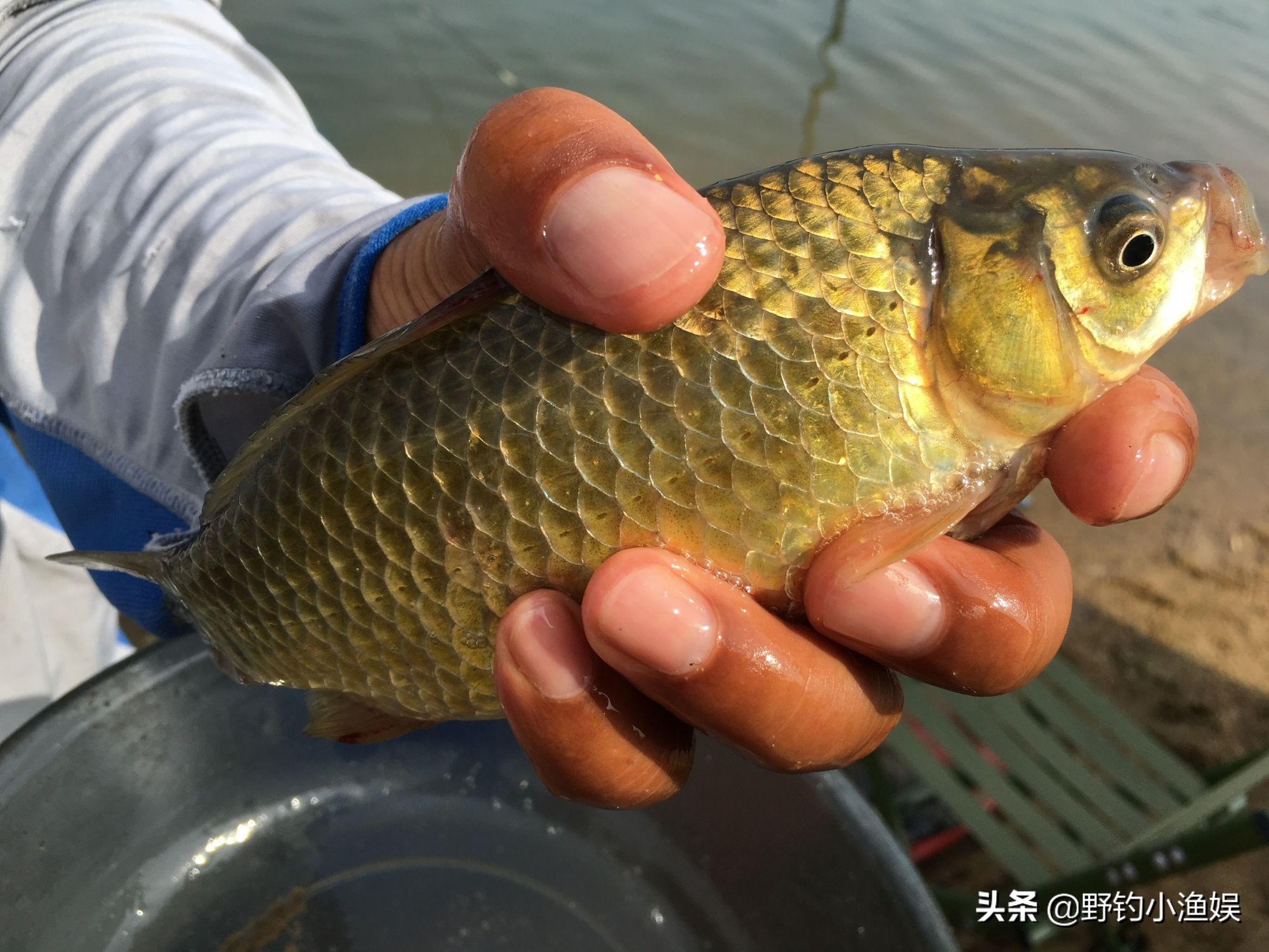 海釣鱸魚的線組_海釣鱸魚線組圖解_海鱸魚線組合