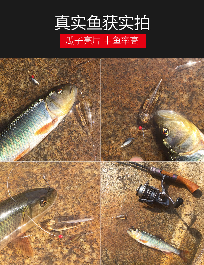 海鱸魚線組合_海釣鱸魚線組圖解_海釣鱸魚的線組