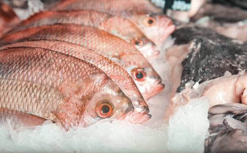 巴沙魚塊批發_巴沙魚市場多少錢一斤_巴沙魚市場有賣嗎