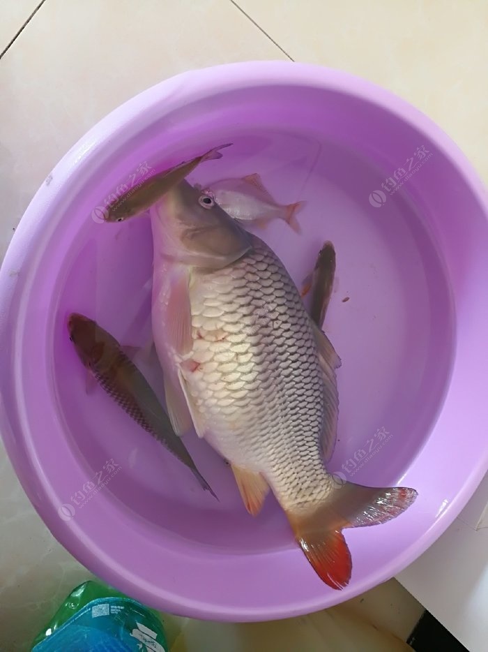 北京釣魚網站_北京釣魚網站大全_北京釣魚網