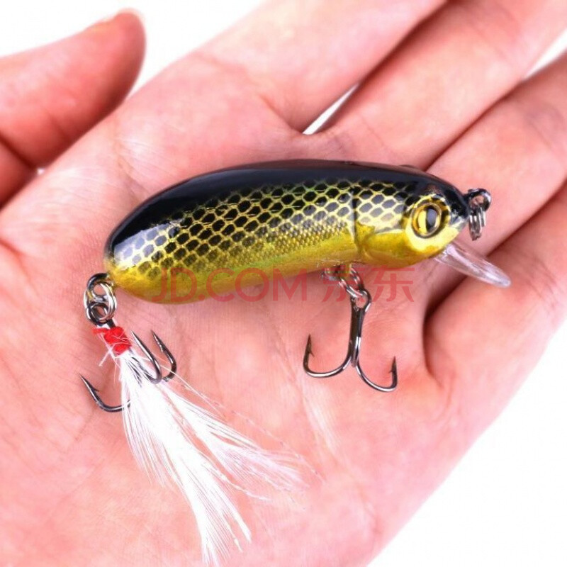 釣餌草魚好用不_如何釣草魚用什么餌最好_最好的草魚餌