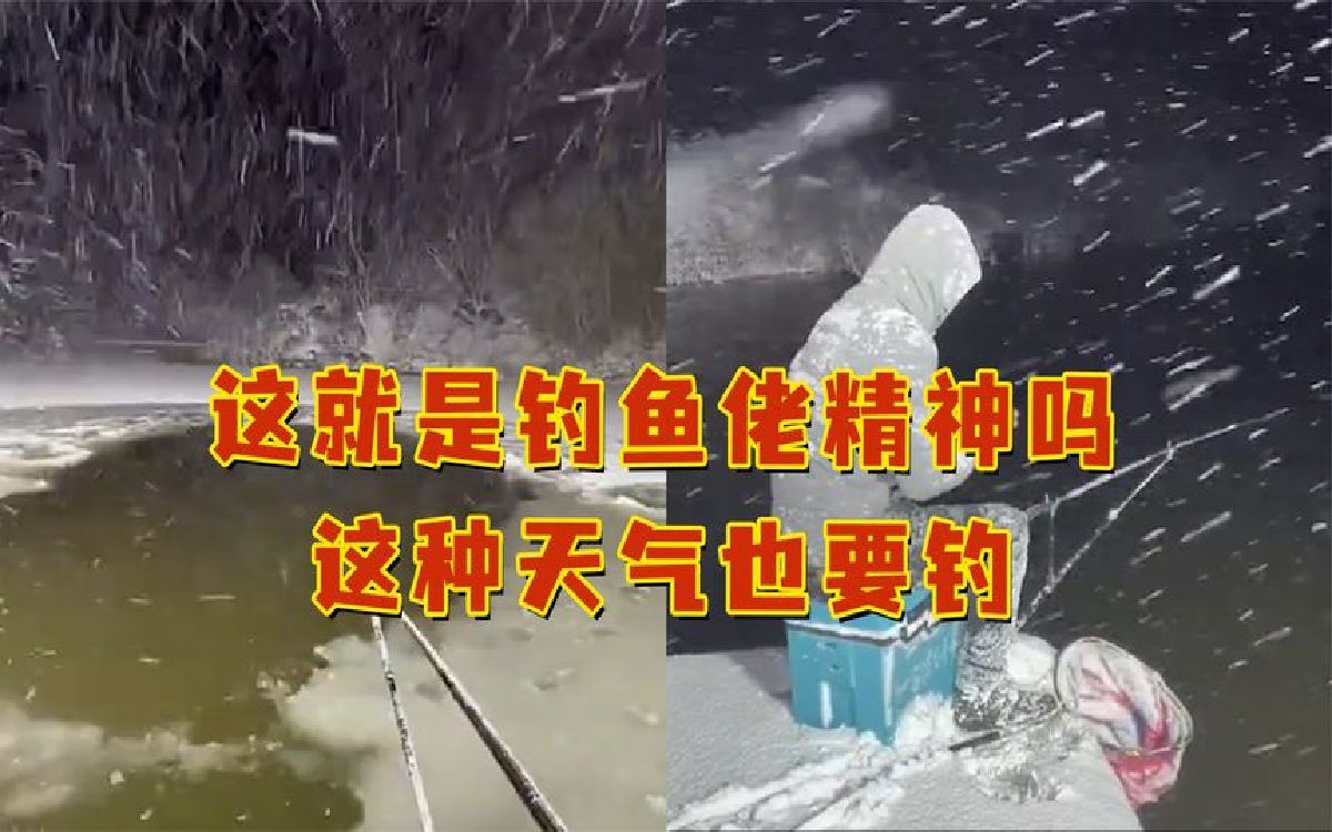 秋季鯉魚技巧野釣圖解_秋季鯉魚怎么釣_秋季野釣鯉魚技巧