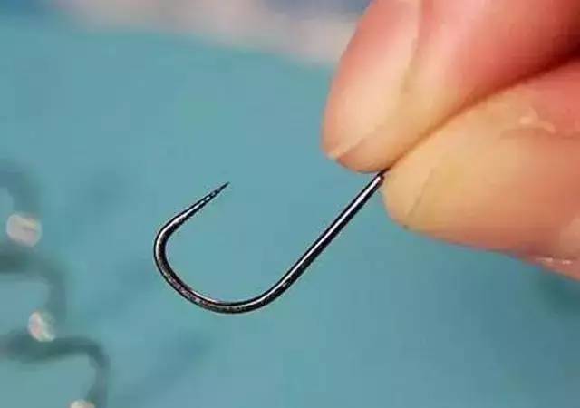 海釣鱸魚用幾號魚鉤_海釣鱸魚魚鉤選幾號鉤_海鱸魚鉤大小怎么選