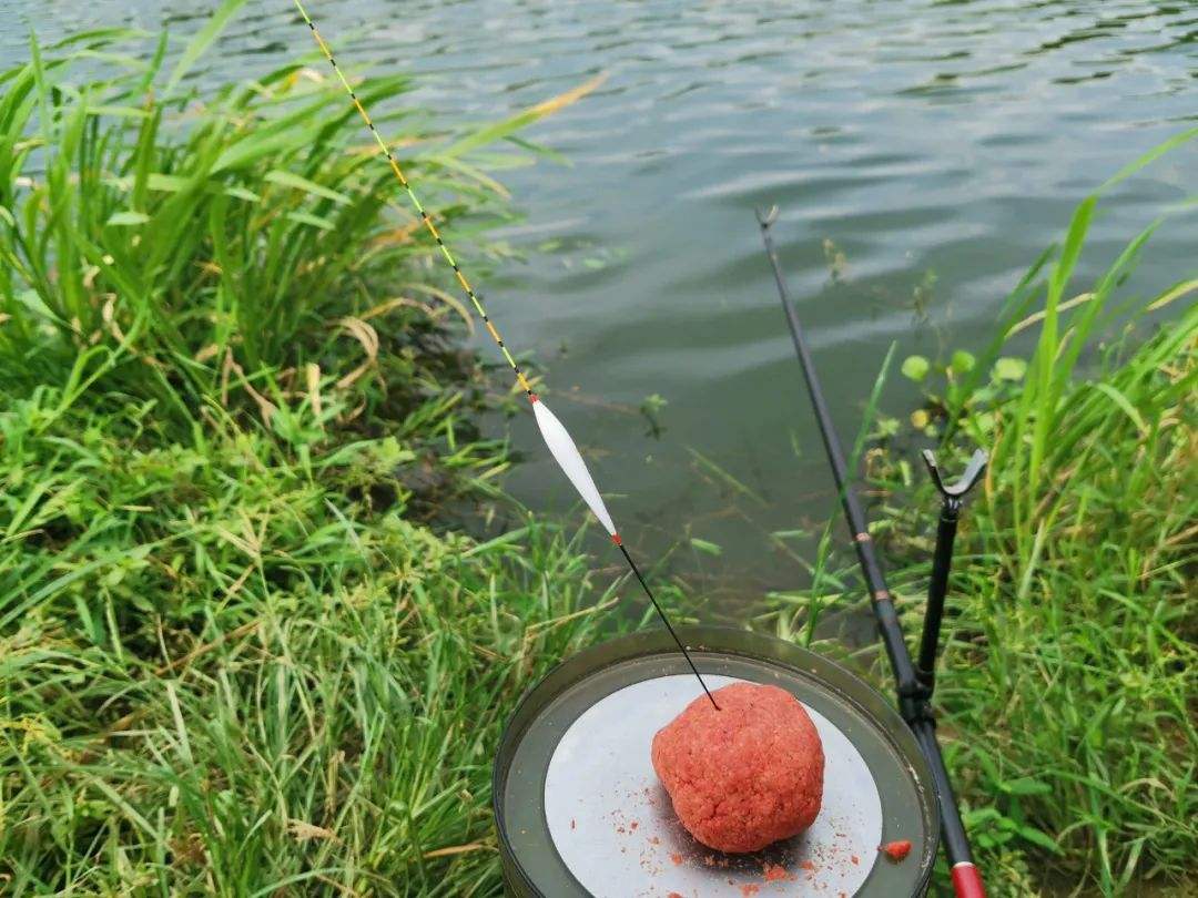 野釣配方鯽魚大全餌料有哪些_野釣鯽魚最佳配方大全_野釣鯽魚餌料配方大全野釣