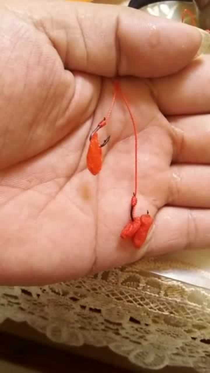 釣鯉魚技巧口訣_釣鯉魚技巧口訣視頻_釣鯉魚最簡單的方法