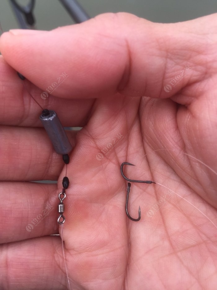 釣鯉魚技巧口訣_釣鯉魚技巧口訣視頻_釣鯉魚最簡單的方法