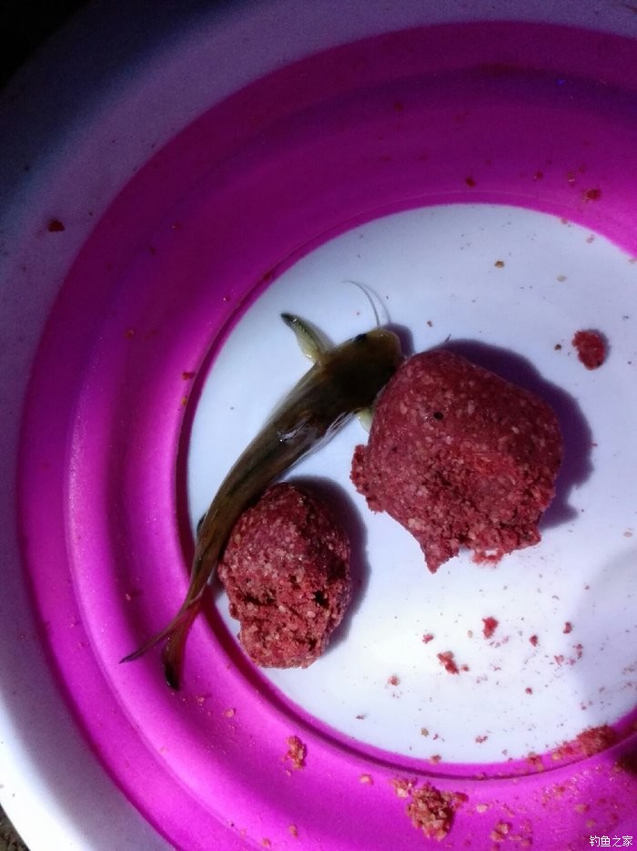鰱魚餌料霧化太快怎么辦_如何讓鰱魚餌霧化好而慢_釣鰱魚餌料霧化太快加點什么