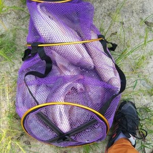 釣草魚技巧大全視頻_釣草魚技巧視頻_如何釣草魚技巧