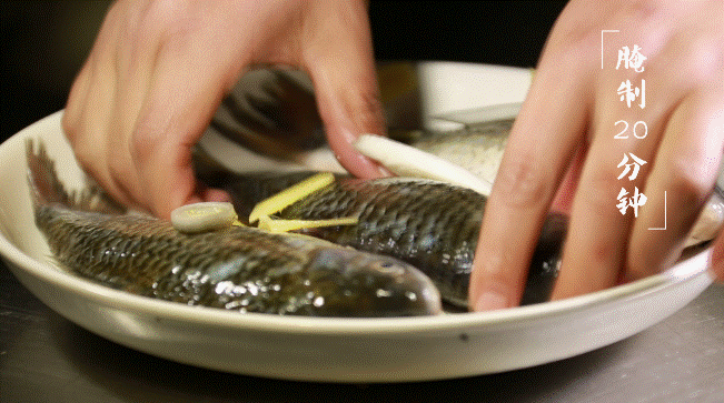 釣配方鯽魚餌料秋天能用嗎_秋釣鯽魚用什么窩料最好_秋釣鯽魚餌料配方