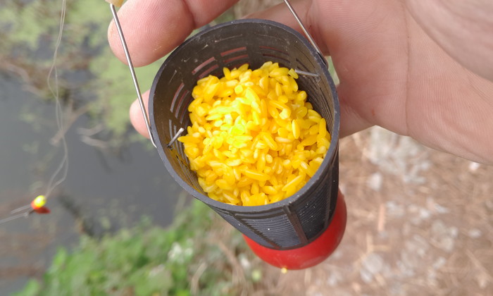 如何釣草魚打窩_釣草魚打窩打多少合適_釣草魚打窩技巧