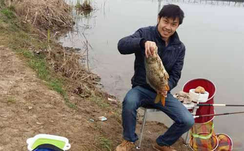 三本先生傳統釣鯽魚視頻_知乎鯽魚先生_鯽魚視屏