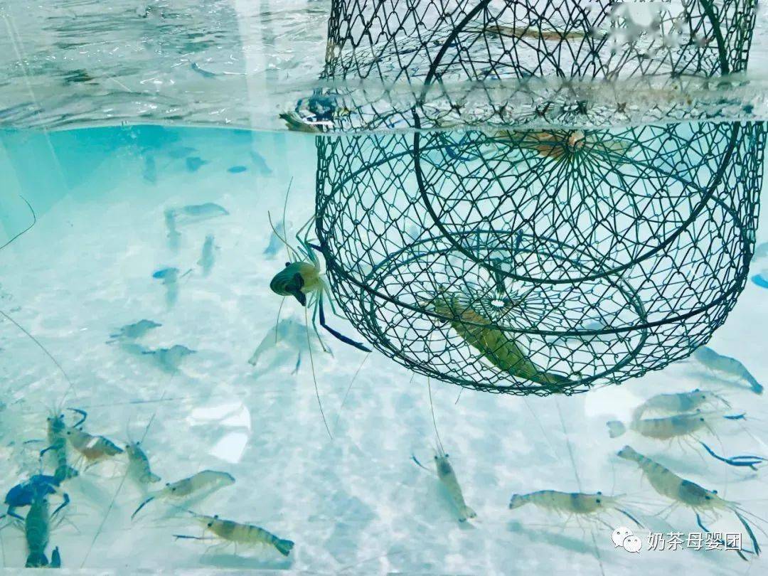 海釣綁鉤_海釣釣組綁法圖解_海釣綁法視頻