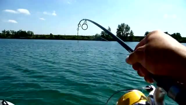 如何釣草魚鯉魚_釣鯉魚草魚用什么鉤子_釣鯉魚草魚用什么餌料最好