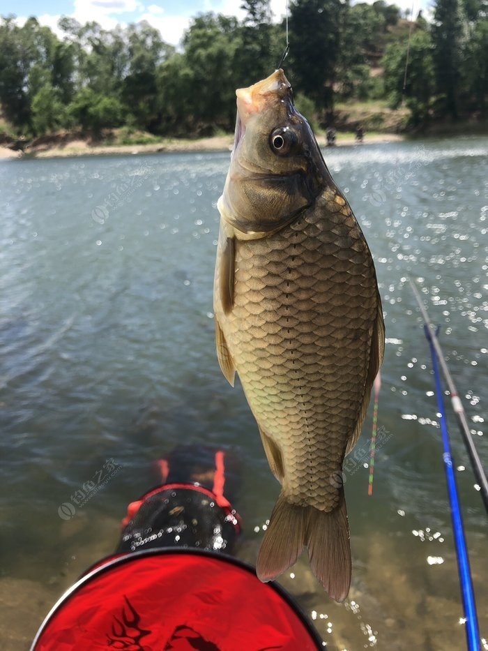 綁魚鉤教程視頻教程_魚鉤怎么綁圖解_綁魚鉤視頻教學