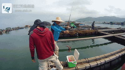 深圳海釣吧_深圳海釣吧深圳釣魚網_深圳海釣網