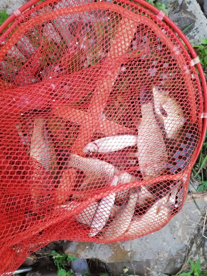 深圳海釣網_深圳海釣吧深圳釣魚網_深圳海釣吧