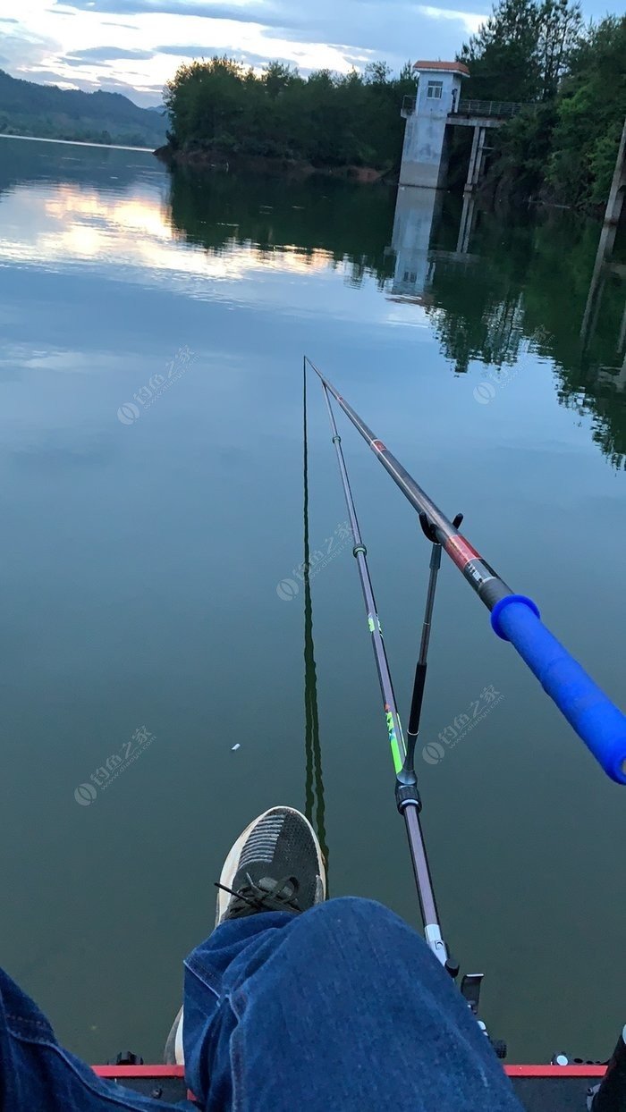 草魚技巧方法野釣圖解_野釣草魚的方法和技巧_草魚技巧方法野釣