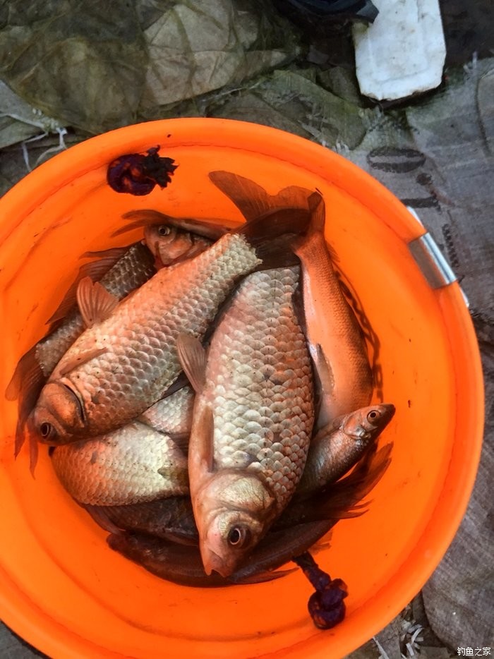 海釣手套推薦_海釣釣組套裝_海釣全套裝備