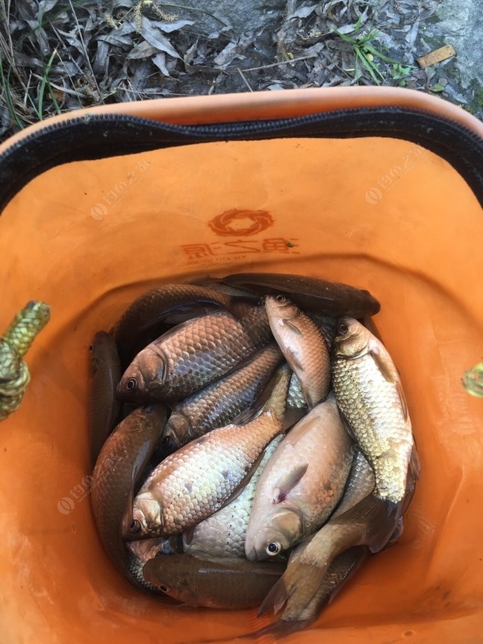 海釣手套推薦_海釣全套裝備_海釣釣組套裝