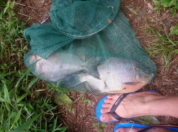 海釣綁法視頻_海釣釣組綁法_綁海釣魚鉤的方法圖解
