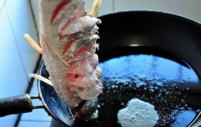 青苔釣餌_青苔沖釣草魚視頻_青苔釣青魚