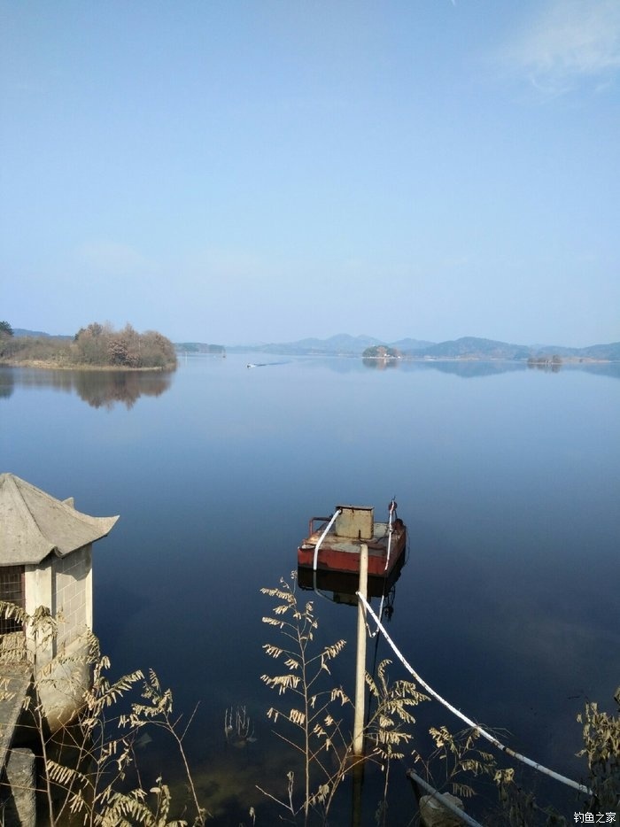 釣草魚離地幾公分_釣草魚離底多少公分_釣草魚釣離底好還是釣底好