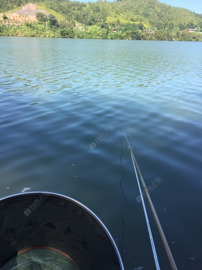 蛋白餌料_蛋白餌有沒有效果_老鬼魚餌小肽蛋白餌怎么樣