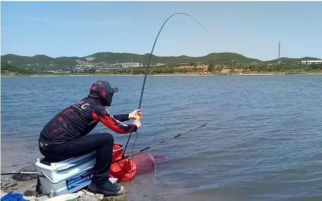 深秋鯉魚釣底還是釣浮_秋天鯉魚釣深水還是淺水_秋釣鯉魚釣深還是釣淺