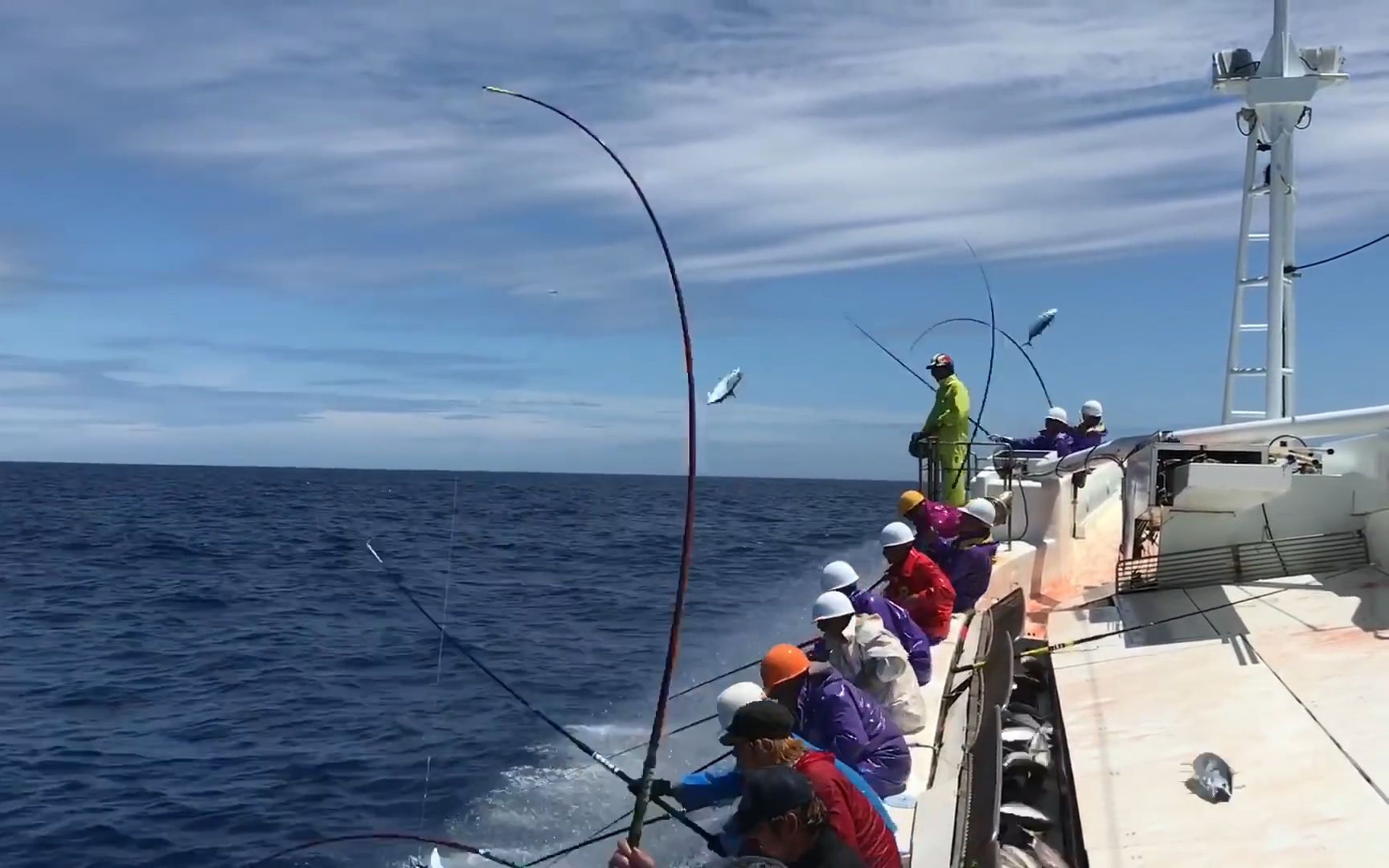 秋釣鯉魚釣深還是釣淺_深秋鯉魚釣底還是釣浮_秋天鯉魚釣深水還是淺水
