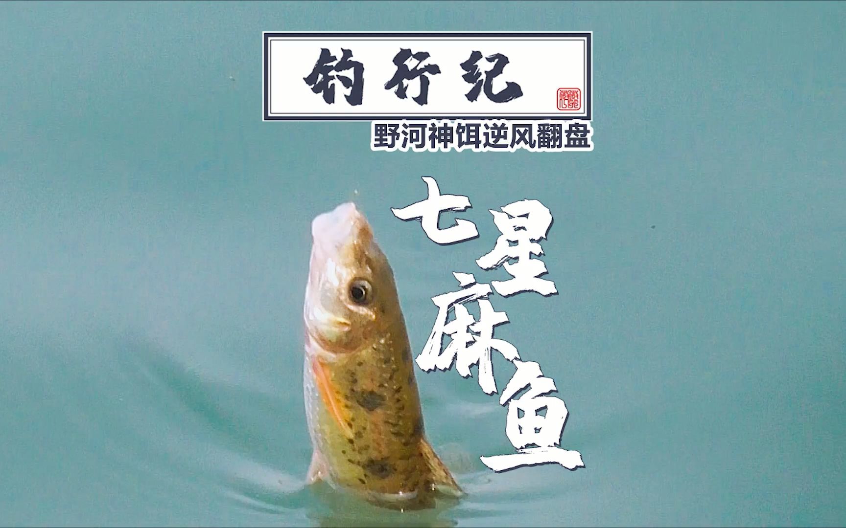 魚餌品牌哪個好用_魚餌品牌好用的有哪些_魚餌品牌好用排名