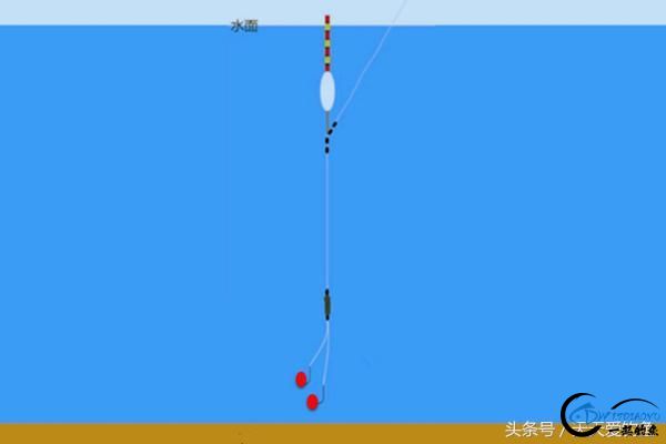 深秋水庫釣鯽魚用什么餌料_釣水庫鯽魚深秋餌料用什么_釣水庫鯽魚深秋餌料用多少克
