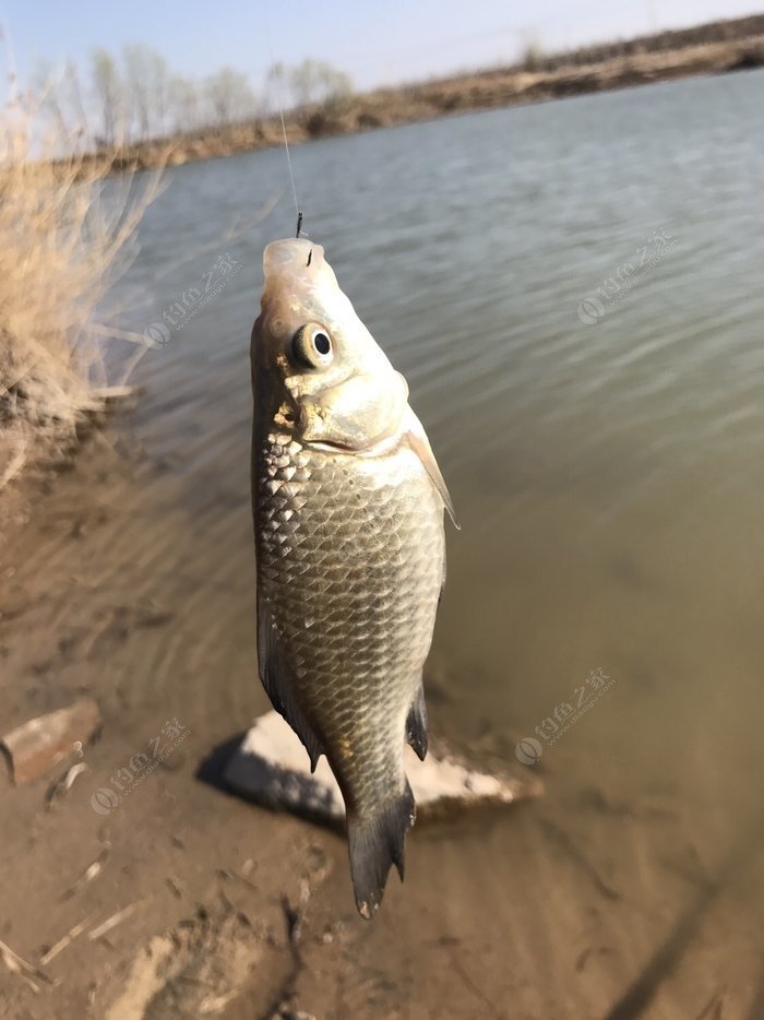 魚竿竿稍綁法圖解_綁魚竿教程_魚竿綁魚鉤綁法視頻教程