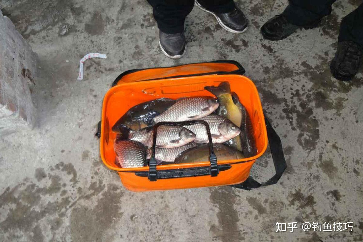 冬季水庫釣鯽魚釣多深的水合適_冬天水庫釣鯽魚釣多深水_釣水庫鯽魚冬深水天能釣嗎
