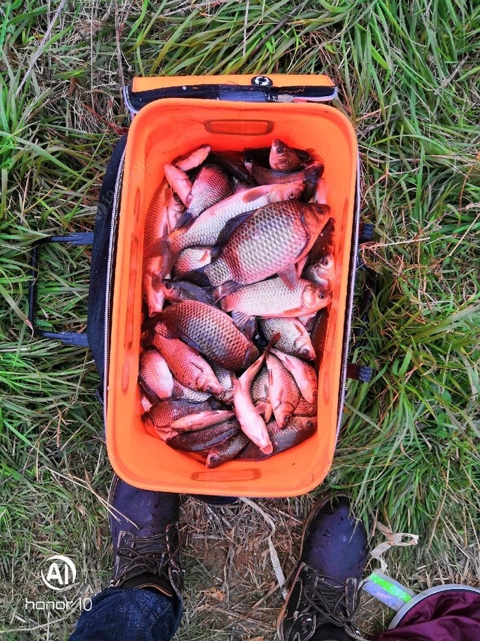 寒露釣鯽魚釣遠釣近_寒露野釣鯽魚釣近還是釣遠_寒露后小水庫釣鯽魚選點及水深