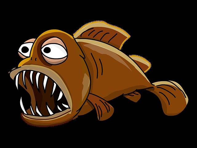澳洲鋸鰩_鋸鰩是什么魚_鋸鰩vs大白鯊