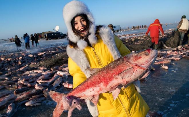 巨型虎魚視頻_巨型水虎魚是什么魚_巨大虎魚