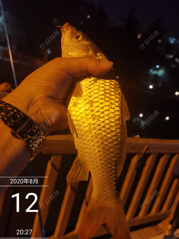 魚竿質量好實惠的品牌_魚竿質量好不好怎么看_什么魚竿質量好