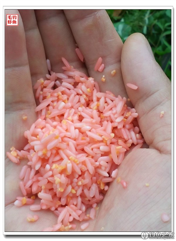 中藥窩料釣魚藥酒配方_釣魚窩料藥酒配方大全_釣魚中藥酒絕密配方怎么制作