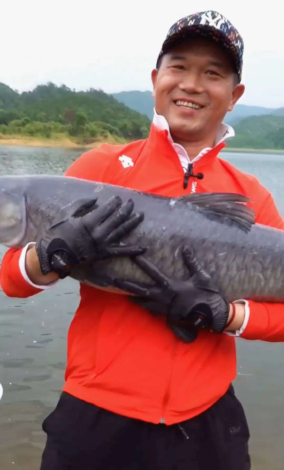 鄧剛釣魚口訣_抖音鄧剛釣魚視頻_鄧剛釣魚視頻在那看