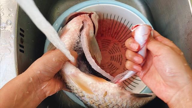 魚處理后冷凍還是直接冷凍_黃花魚處理_多寶魚怎么處理