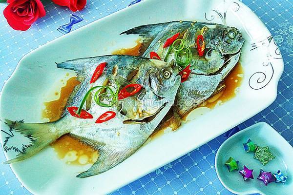 魚是什么動物類型_魚是熱性還是涼性_多寶魚是什么魚
