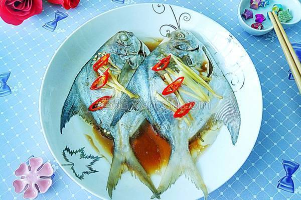 多寶魚是什么魚_魚是什么動物類型_魚是熱性還是涼性