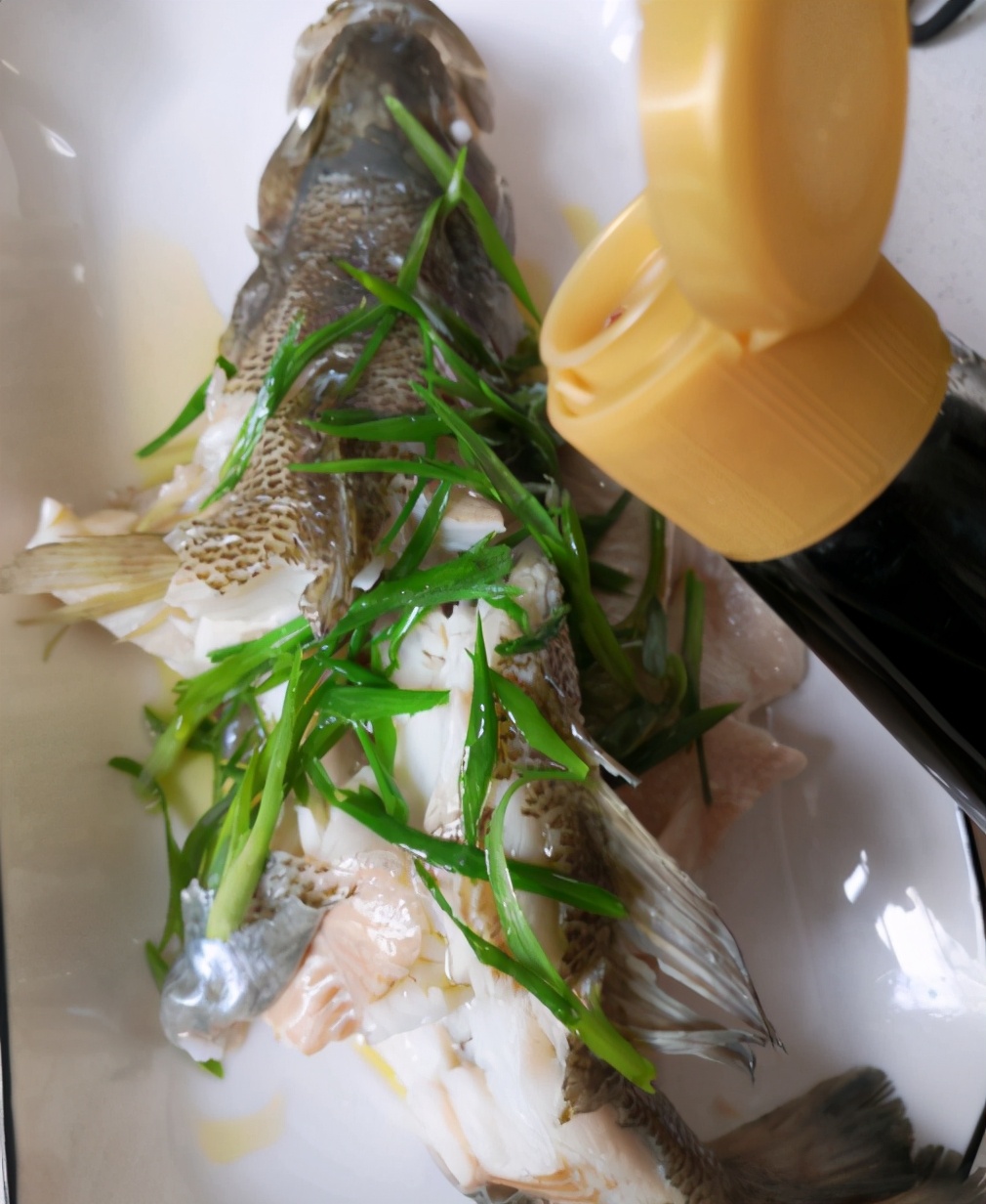 多寶魚怎么處理_魚處理后冷凍還是直接冷凍_多寶魚處理