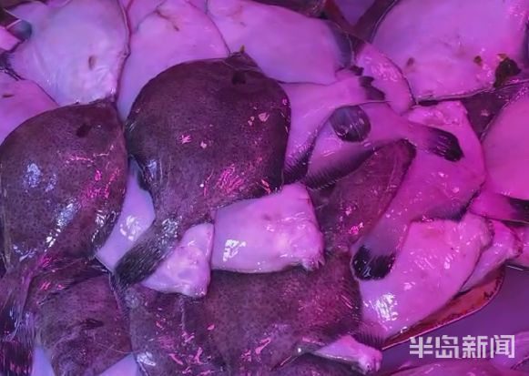 釣海鱸魚餌料_海釣鱸魚用什么路亞餌_海釣鱸魚用什么餌