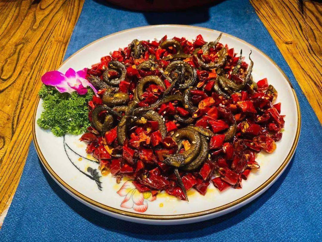 雀鱷鱔魚圖片_鱷雀鱔百度百科_雀鱔鱷視頻