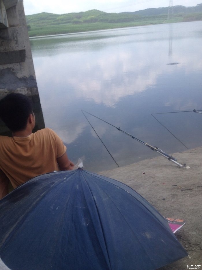 水庫釣鯉魚打窩教學視頻_水庫釣鯉魚打窩子最佳配方_水庫釣大鯉魚視頻