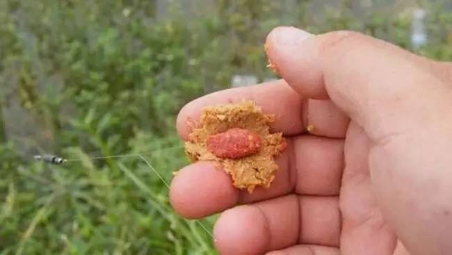 釣鰱鳙餌料加醋好不好_鰱鳙餌加醋有什么效果_魚餌加醋能釣到鰱魚嗎