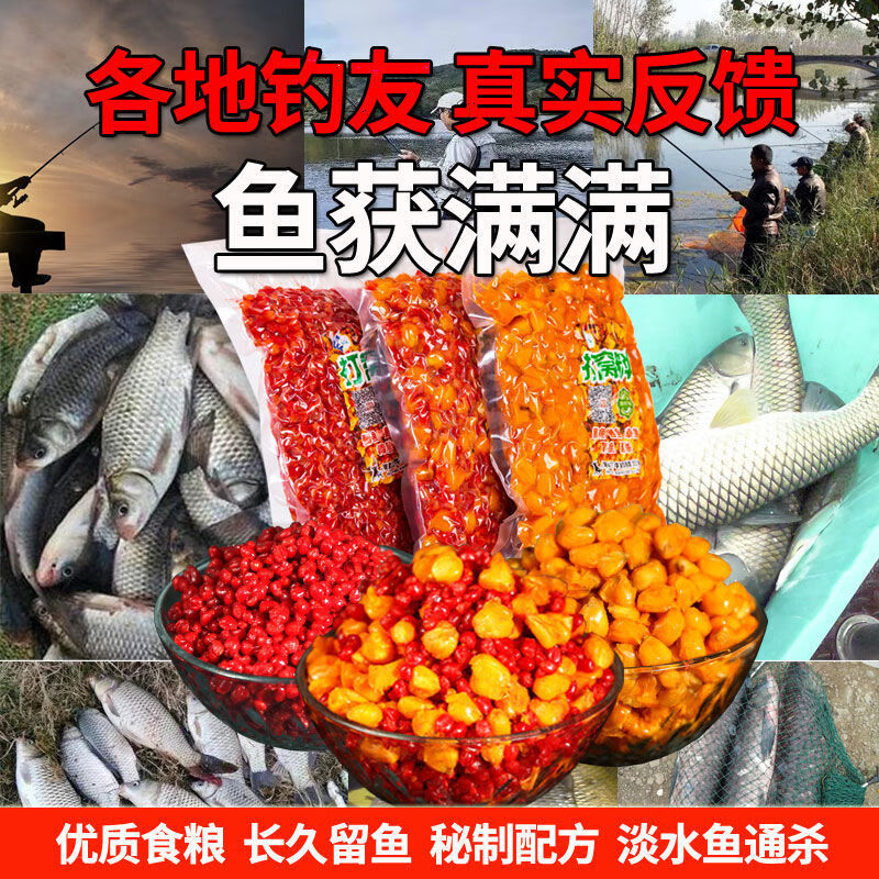 水庫鯉魚打窩怎么打_水庫釣鯉魚打窩教學視頻_水庫釣鯉魚打窩子最佳配方