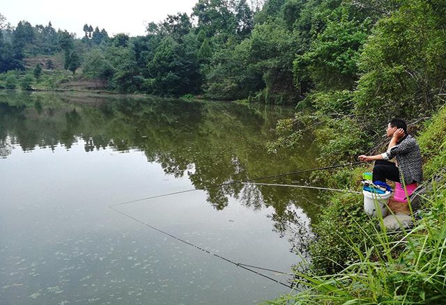 衡水湖釣魚用什么餌料_2021年衡水湖野釣的地方_衡水湖免費釣魚地點